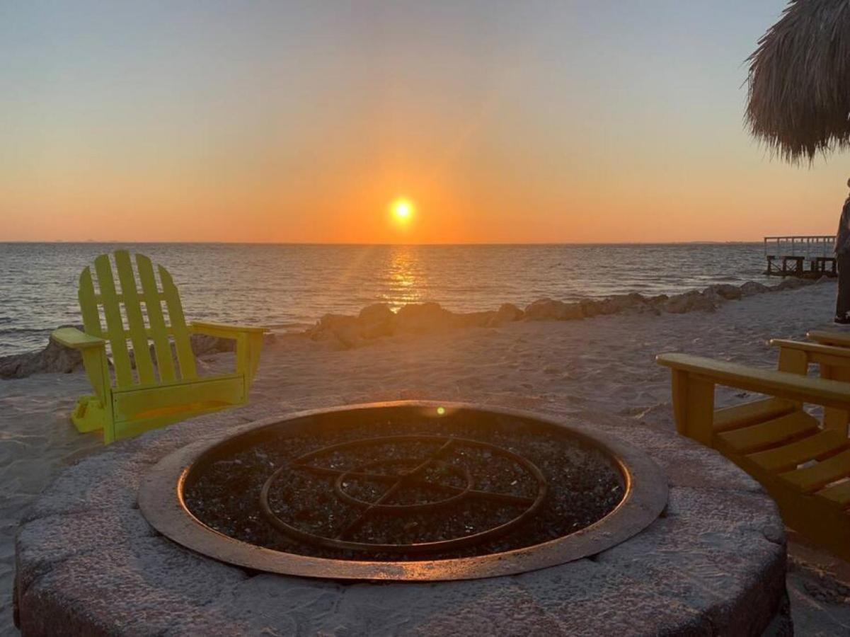 Sunset Paradise - Find Yourself In Tampa Exteriér fotografie