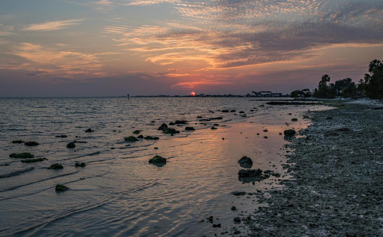Sunset Paradise - Find Yourself In Tampa Exteriér fotografie